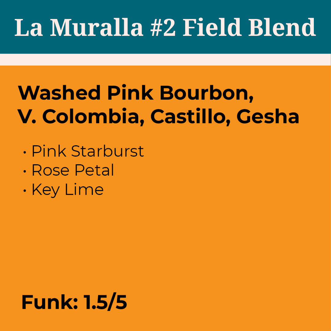 La Muralla #2 Field Blend Washed Colombia packshot
