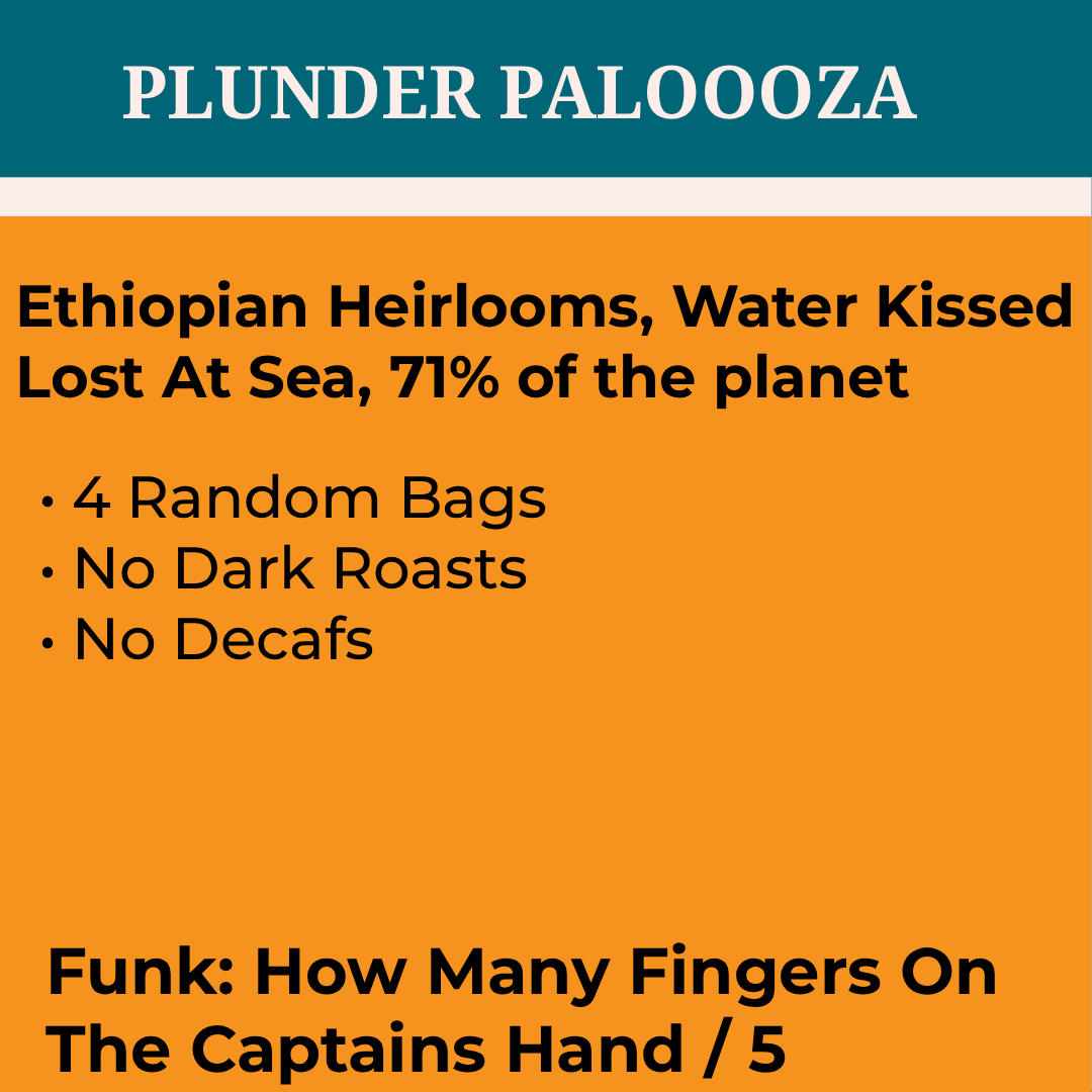 PLUNDER PALOOZA - 4 BAGS