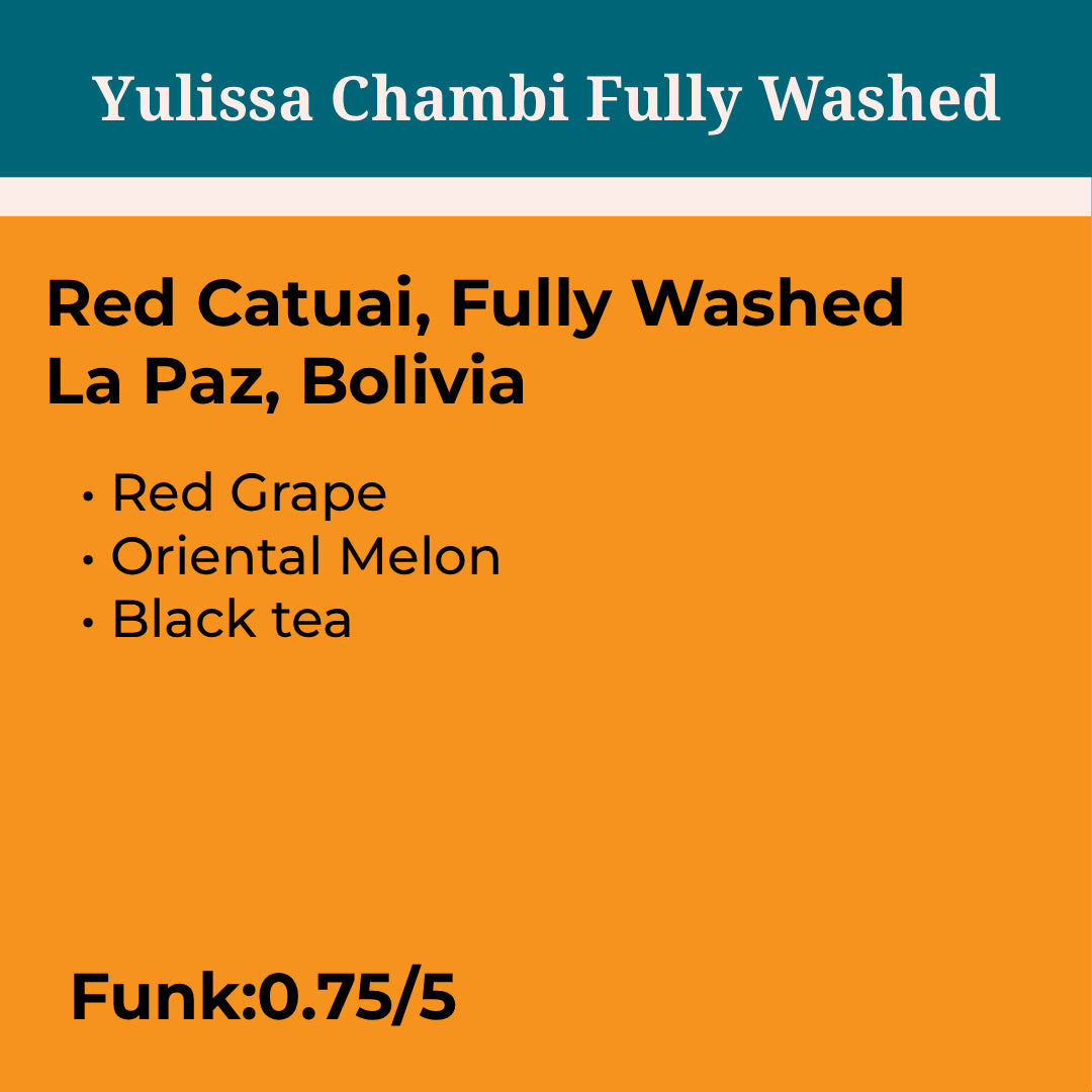 Yulissa Chambi Fully Washed