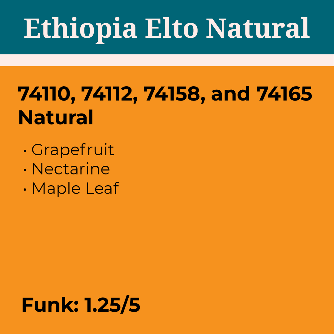 Ethiopia Elto Natural packshot