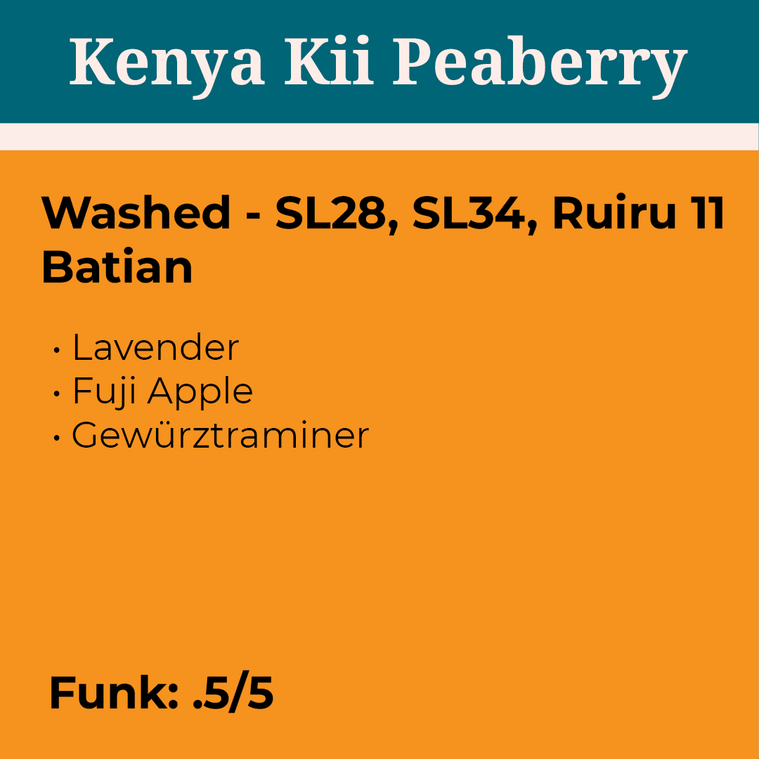 Kenya Kii Washed Peaberry