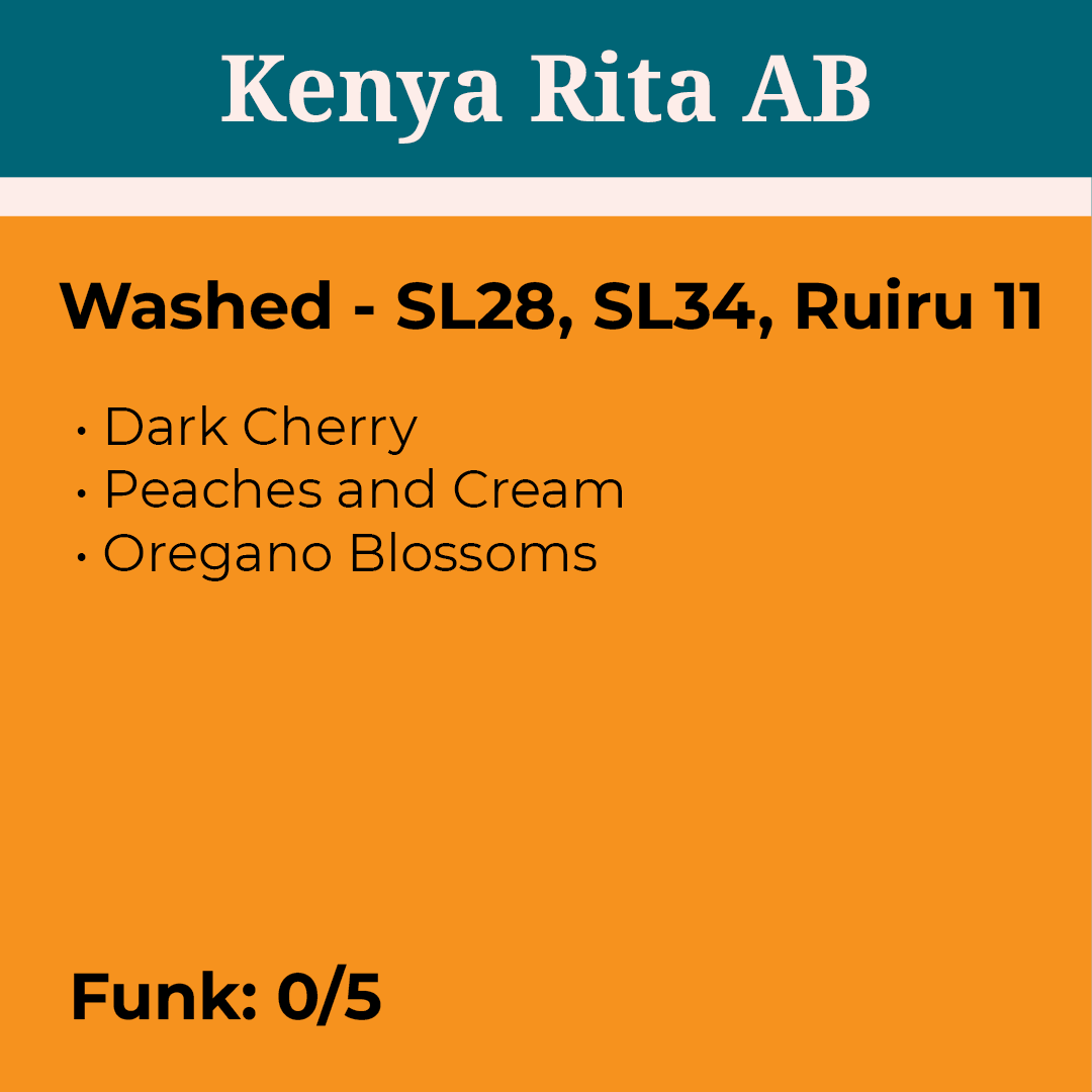 Kenya Rita AB Washed packshot