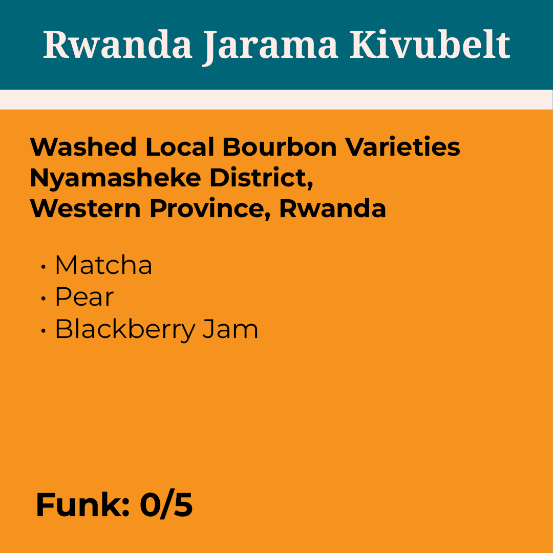 Rwanda Jarama Kivubelt Estate Washed