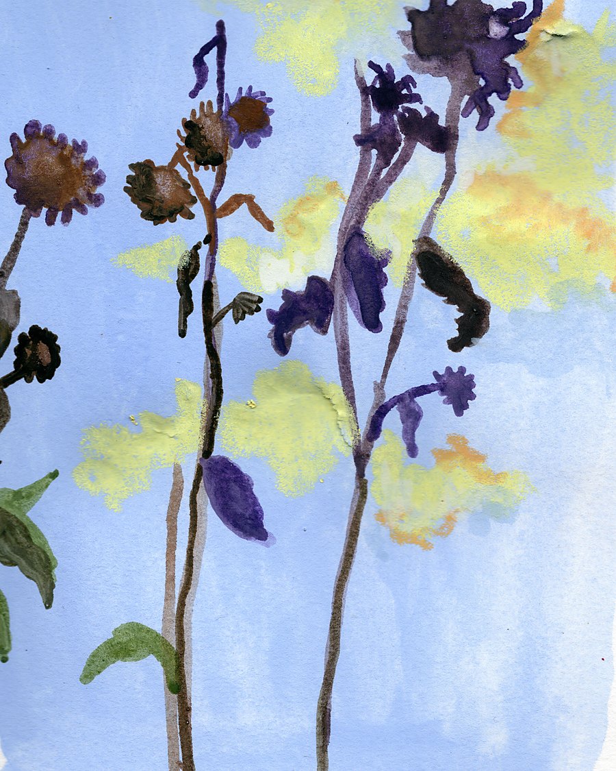 Even Wilted Flowers Need A Refill by Alena