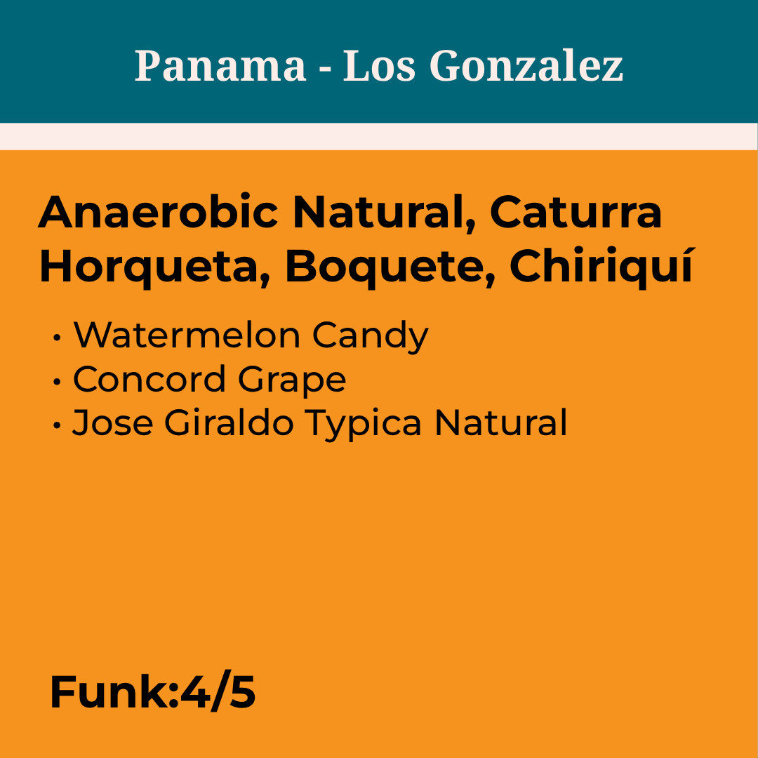 Panama Los Gonzalez Anaerobic Natural