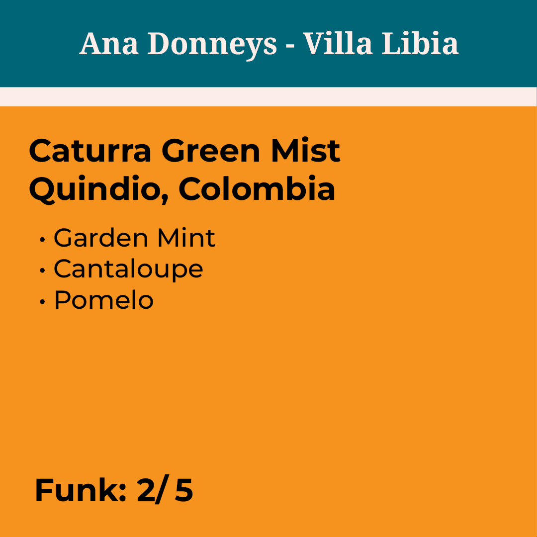 Ana María Donneys Green Mist Caturra