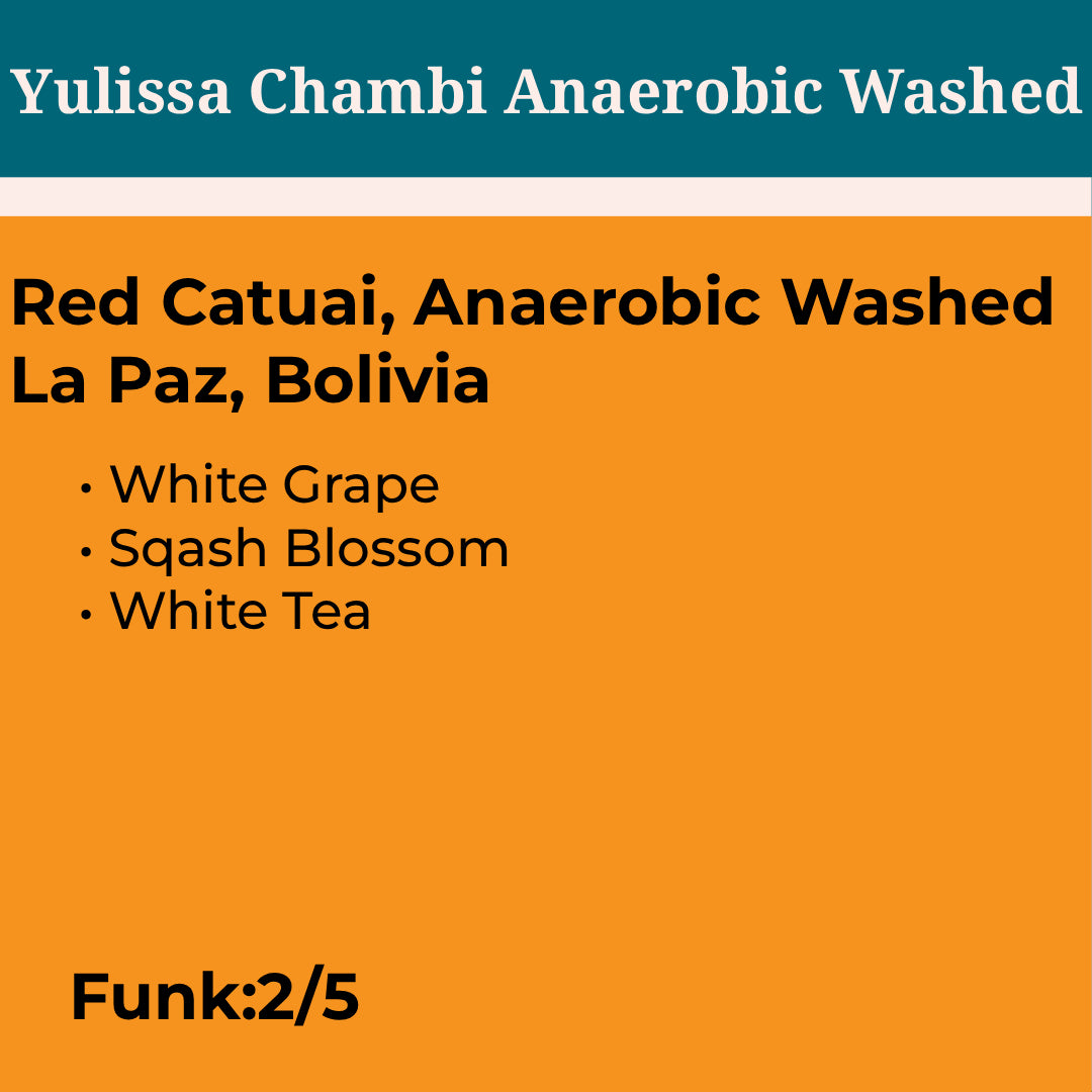 Yulissa Chambi Anaerobic Washed