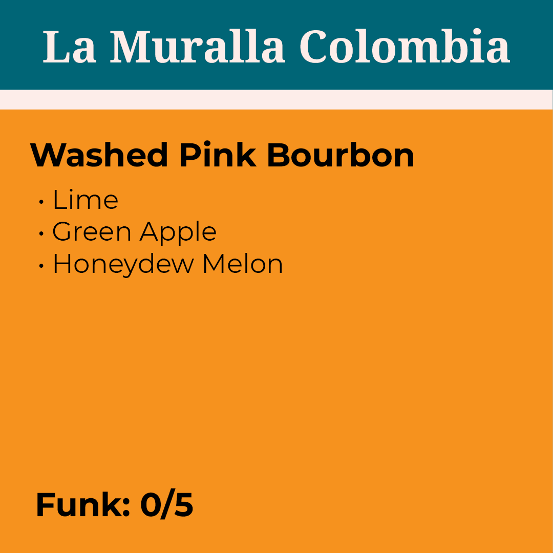 La Muralla Washed Pink Bourbon