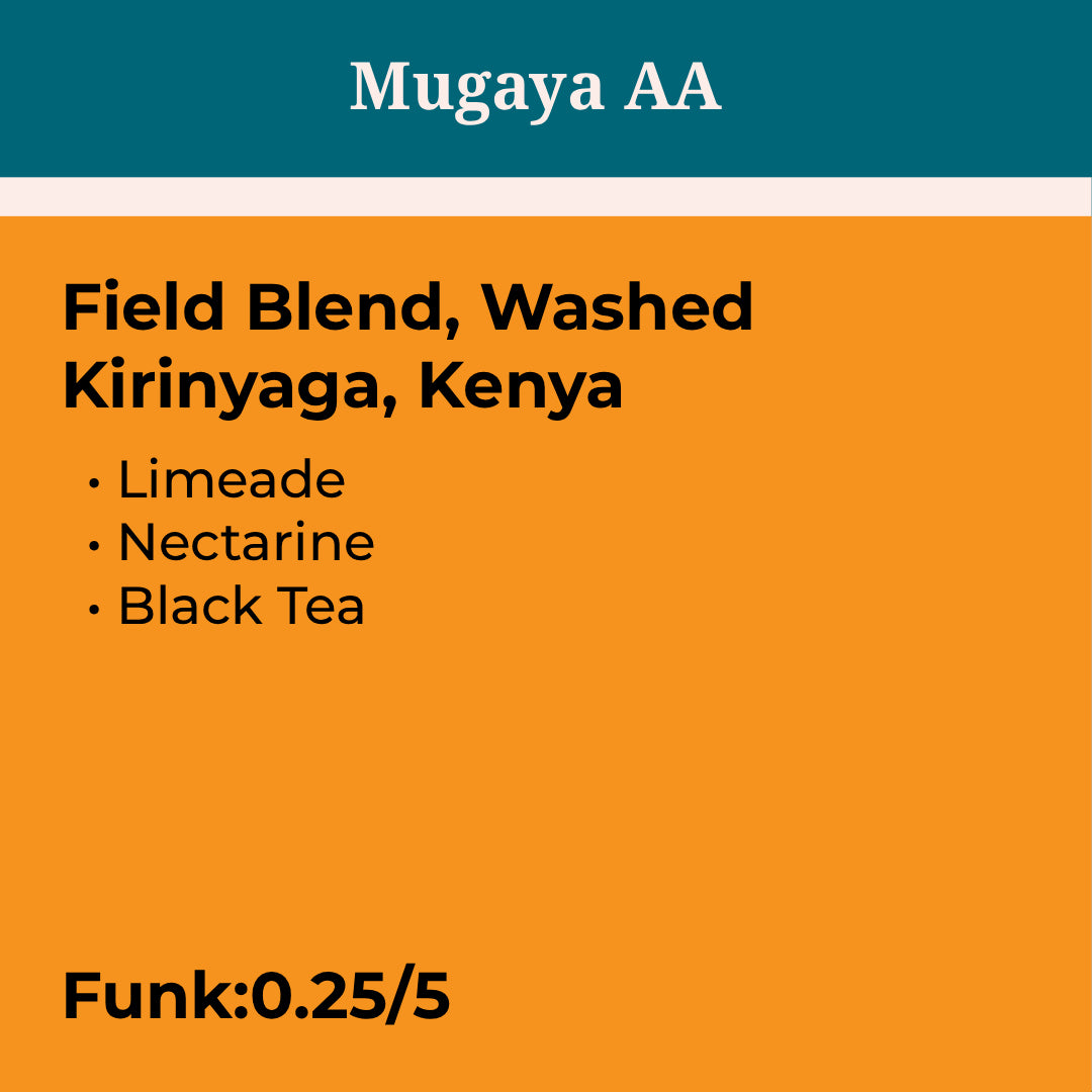 Kenya Mugaya AA