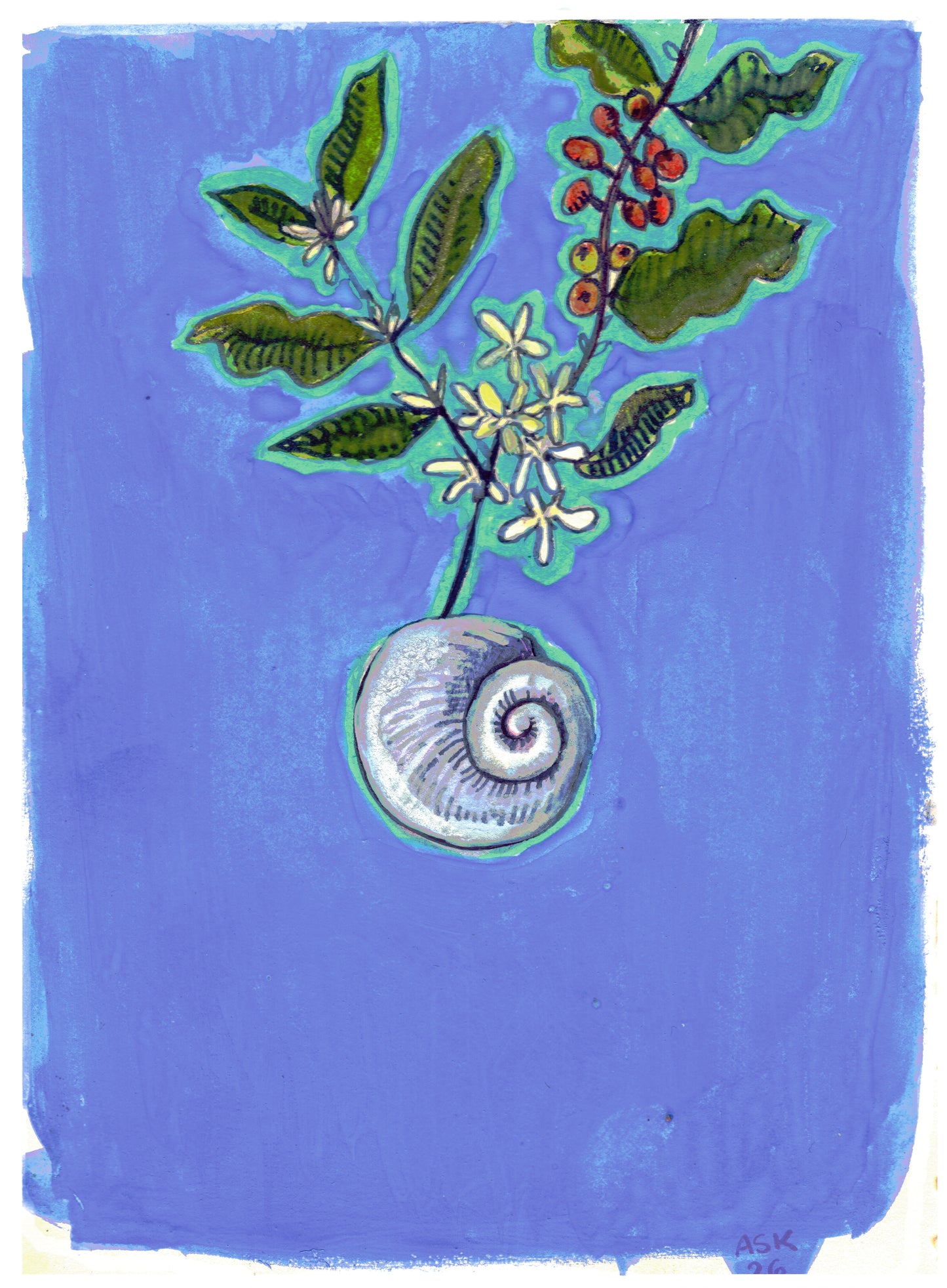 Moon Snail Dreams Of Arabica - Print