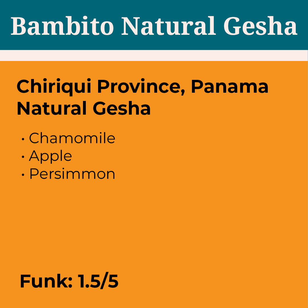 Bambito Natural Gesha