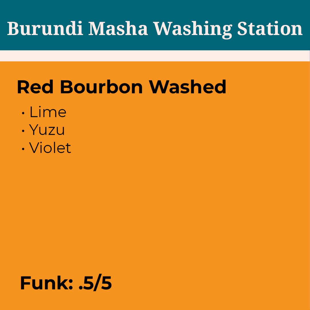 Masha Washing Station Burundi Washed packshot
