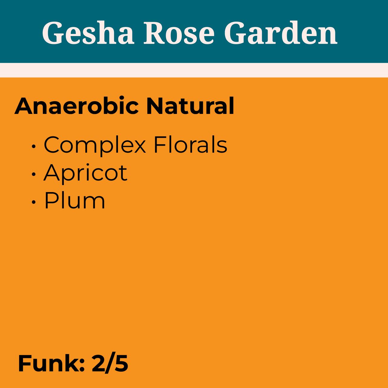 Gesha Rose Garden packshot