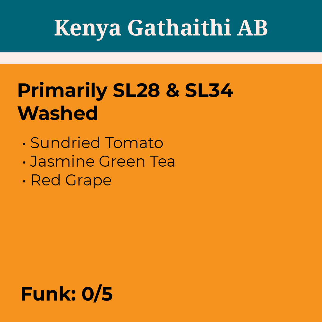 Kenya AB Gathaithi Washed