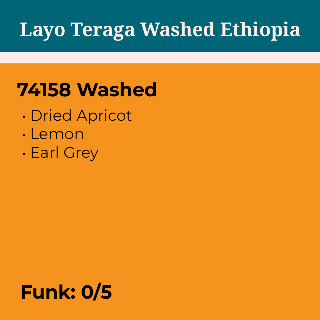 Layo Teraga Washed Ethiopia packshot