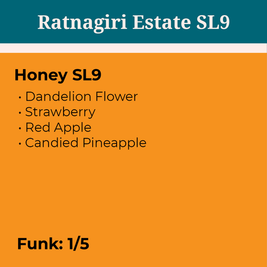 Ratnagiri Honey SL9