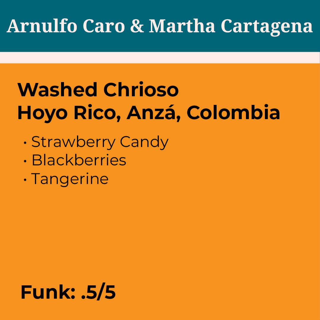Arnulfo Caro & Martha Cartagena Washed Chiroso