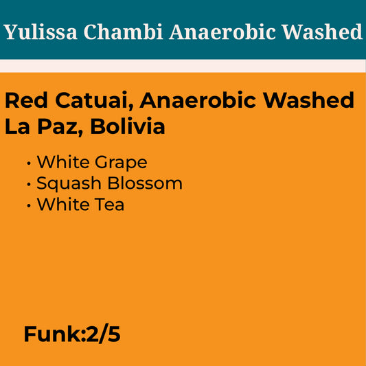 Yulissa Chambi Anaerobic Washed