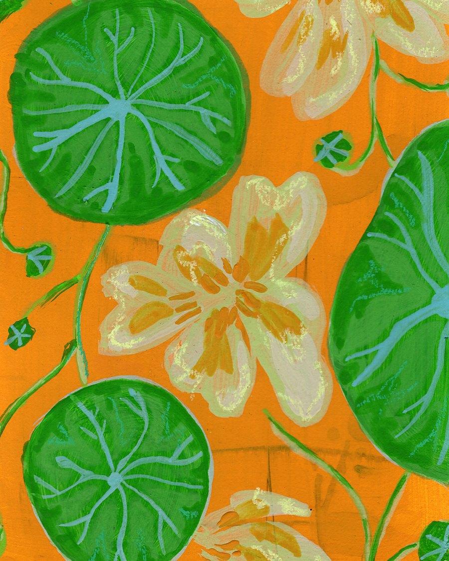 Neon Nasturtium by Alena